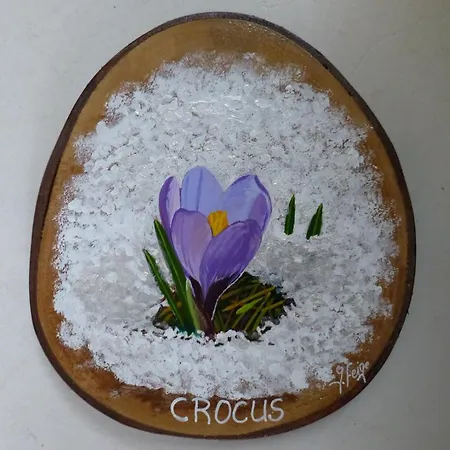 Apartment Crocus 4/6 Personnes Megève